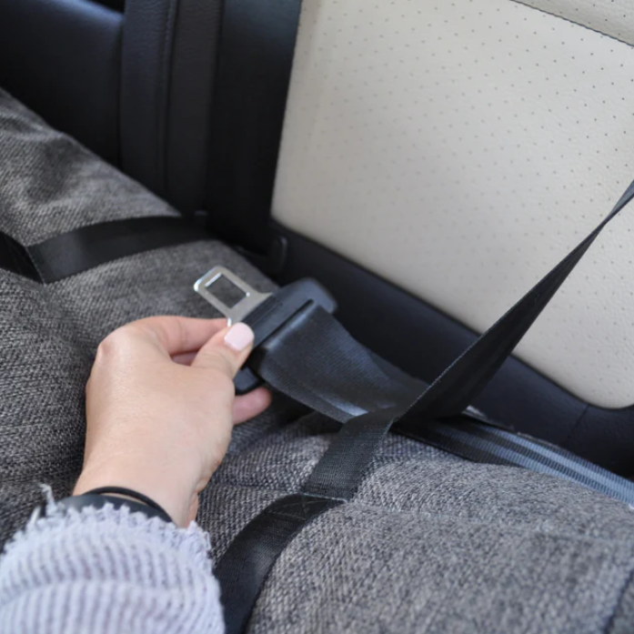 Dog Bed | Charlevoix Chrysler Dodge Jeep Ram in Charlevoix MI